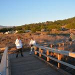 Cambria_2015_0177 (November 07, 2015)